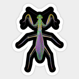 Praying Red Tinged Mantis Sticker